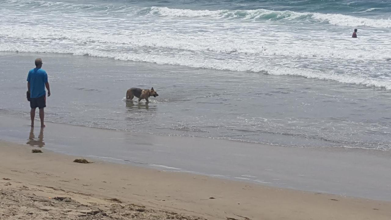 Playa Hermosa Inn At The Beach 엔세나다 외부 사진